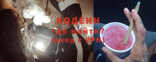 шишки Белая Холуница