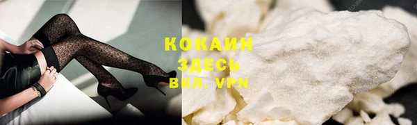 шишки Белая Холуница