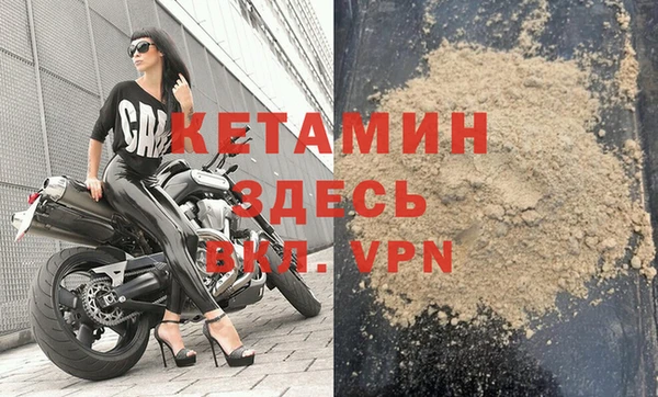 трава Аркадак