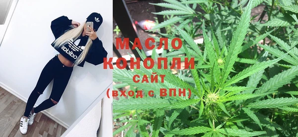шишки Белая Холуница
