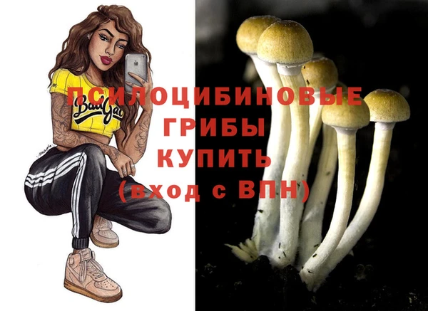 трава Аркадак
