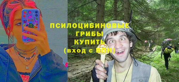 трава Аркадак
